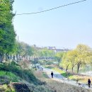 평화2동-14(평화동 한바탕 국민체육센터 대여소) | 전주 벚꽃 자전거 대여 꽃싱이 타고 벚꽃엔딩 가볼만한곳