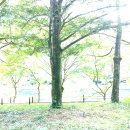 &#34;이재명 빨갱이&#34; 고든 창 초청?.....&#34;외교부 뭐합니까?&#34; 세종연구소 감사 촉구 이미지