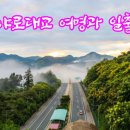 야로야로