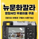 뉴현대칼라 이미지