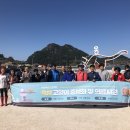 119동물병원 이미지