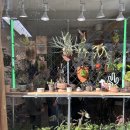 카페 사월오일 이미지