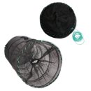 장어와미꾸라지 이미지