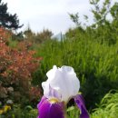 하늘농장5 이미지