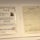 태화애견 이미지
