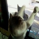 아띠모리 이미지