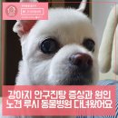 김성록동물병원 이미지