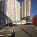 비슬로481길 | 대구 애견카페/애견운동장 다녀온 후기 🐶 강아지 뛰어놀기 좋은 곳