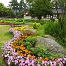 미추홀공원 다례원 이미지