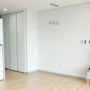 옥마벚길 이미지