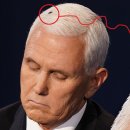 Fly evades coronavirus shields, lands on Pence’s head, steals debate spotli 이미지
