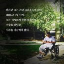 킹캉 이미지