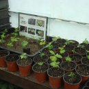 왕산농장 이미지