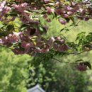 사자사지 | 익산 가볼만한 곳. 백제 무왕이 서동시절 오르내렸던 익산 사자사지.