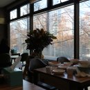 최강낙지 이미지