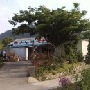 독바우 이미지