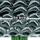 이명헤어 네이버블로그