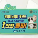 멍이랑 냥이랑 이미지