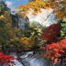 황제(898) 이미지