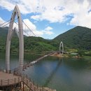 연하엽구름다리 이미지