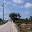 도내2리 이미지