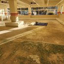 핫도그 애견 이미지