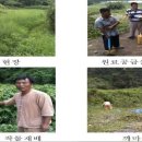 힐링푸드벨리 이미지