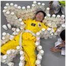 태비 태권도 이미지