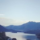 보아스 팜 스테이 이미지