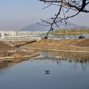 오정대공원 이미지