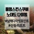 산등리조트 | 국내 스쿠버다이빙 자꾸 가도 좋은 노대도 펀다이빙 (산등리조트)