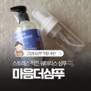 마음더 | 고양이샴푸 무향 추천, 아픈 고양이 목욕은 어떻게? 마음더 워터리스 샴푸 후기