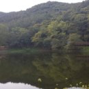 맏내제 이미지