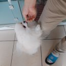 호텔루이 이미지
