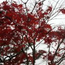 형주병원 이미지