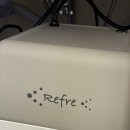 모모 애견미용 이미지