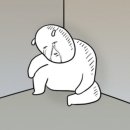 견묘당 | [공지] 강아지목욕 10분컷 가능한 세정력 좋고 성분좋은 강아지 샴푸 추천 견묘당 맑은쑥 보습 샴푸