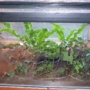 유미환경 이미지