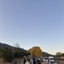 (주)은행나무 | 원주 단풍놀이 반계리 은행나무 후기