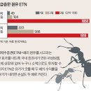 개미 이미지