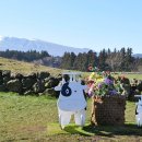 매화목장 이미지