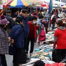 강진오감통 이미지