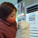 개포동월드 이미지