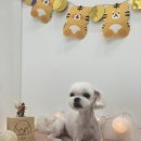 앵두미용실 이미지