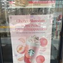 스타벅스 다대포DT점 | 일본 스타벅스 신메뉴! 체리 블라썸 백도 크림 프라푸치노 솔직 후기 (가격 7700원)