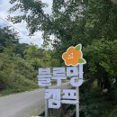 블루밍캠프 이미지