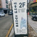 야옹이네 | 수원 호매실 고양이카페 야옹이네 고양이카페 방문후기