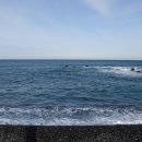 스테이호텔 | 겨울 울산 여행 /울산 대교 전망대/ 마애사/신라스테이 호텔 후기