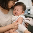 (주)사노피-아벤티스코리아 | "GSK 떠나고 사노피만 남았다" 영유아 백신 국산화 '발등의 불'