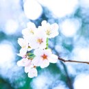 대구광역시 청사 이미지